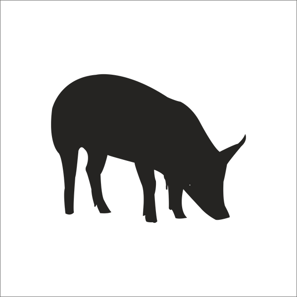 Technopa Etiket, Sticker