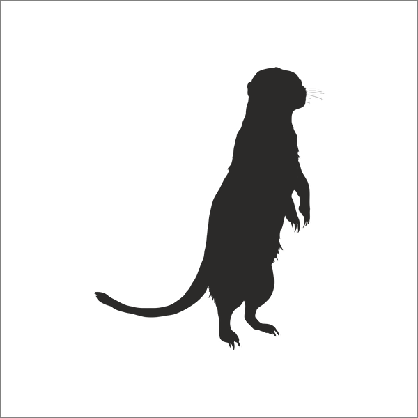 Technopa Etiket, Sticker