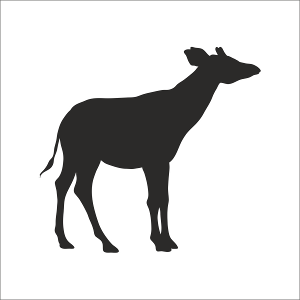 Technopa Etiket, Sticker