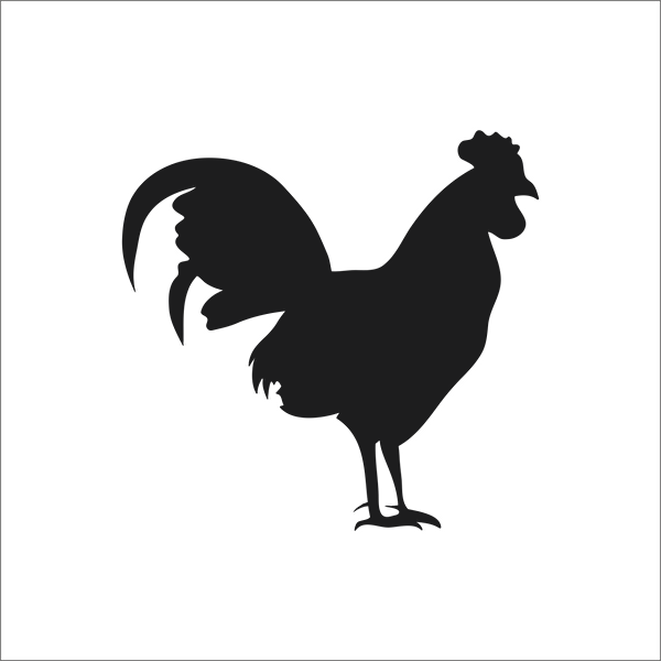 Technopa Etiket, Sticker