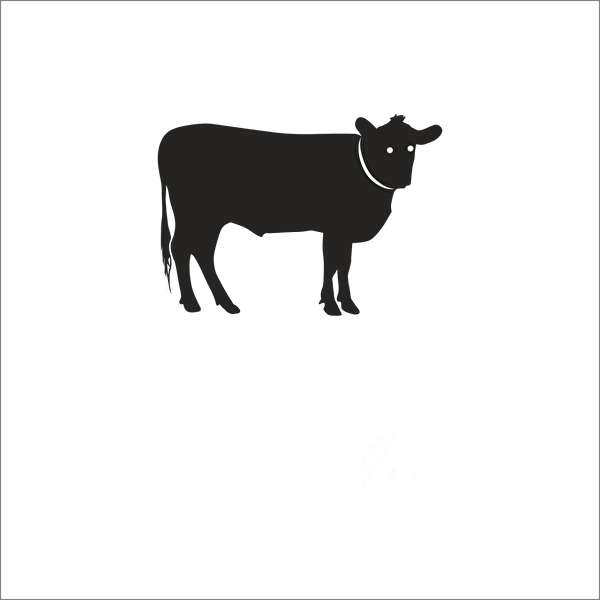 Technopa Etiket, Sticker