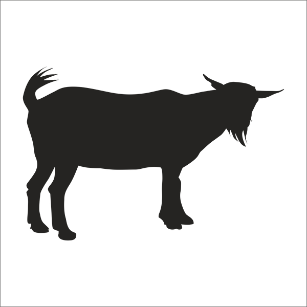 Technopa Etiket, Sticker