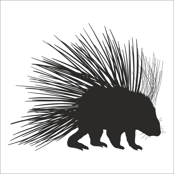 Technopa Etiket, Sticker