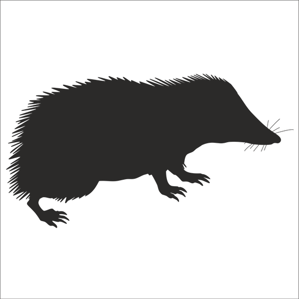 Technopa Etiket, Sticker