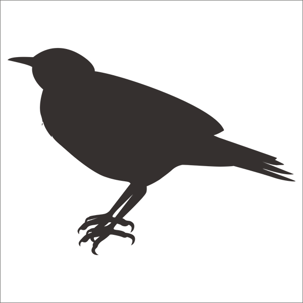 Technopa Etiket, Sticker