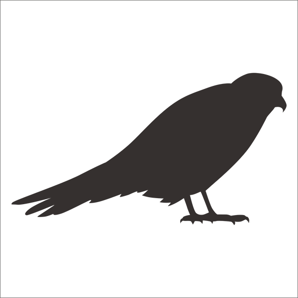 Technopa Etiket, Sticker