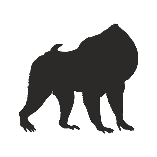 Technopa Etiket, Sticker