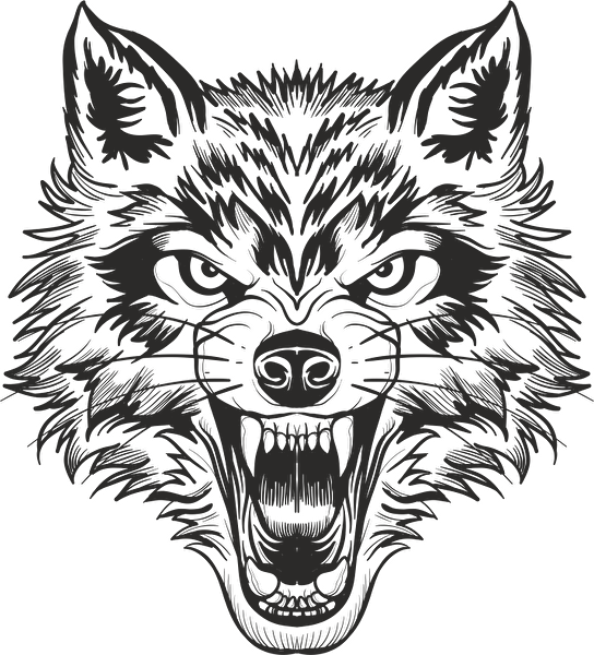 Technopa Etiket, Sticker