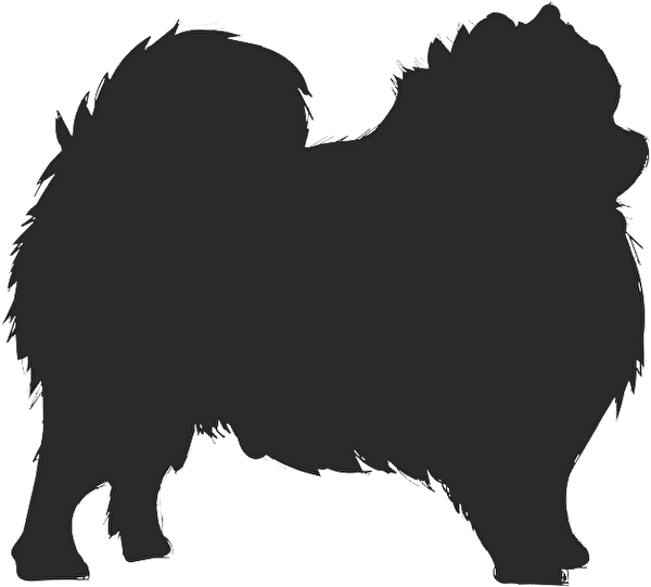 Technopa Etiket, Sticker