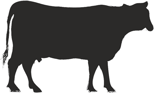 Technopa Etiket, Sticker