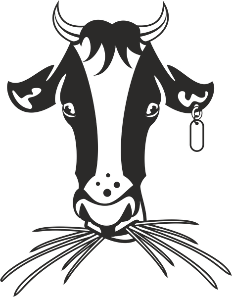 Technopa Etiket, Sticker