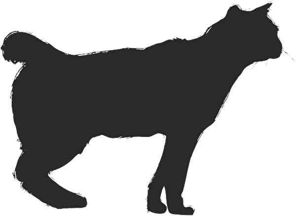 Technopa Etiket, Sticker