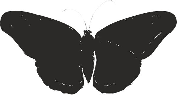 Technopa Etiket, Sticker