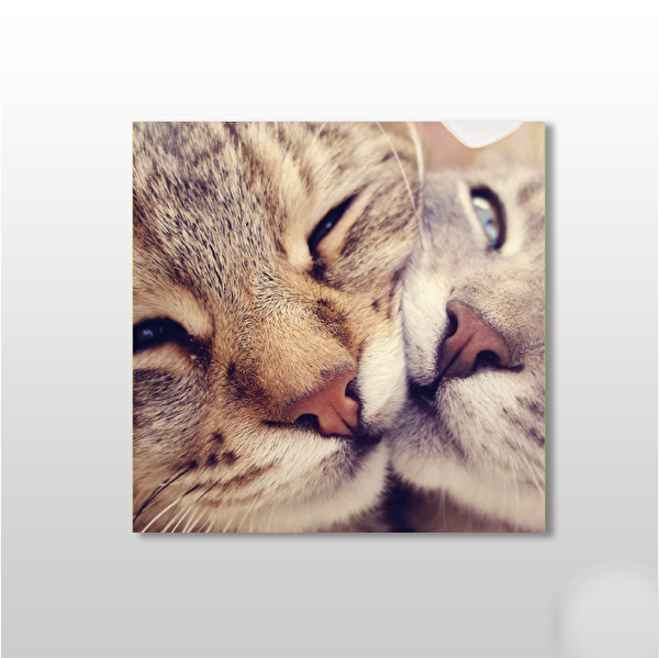 Technopa Kanvas Tablo