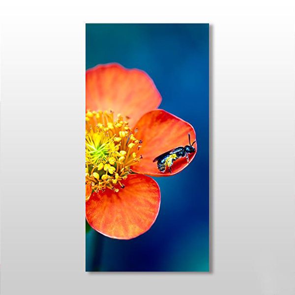 Technopa Kanvas Tablo