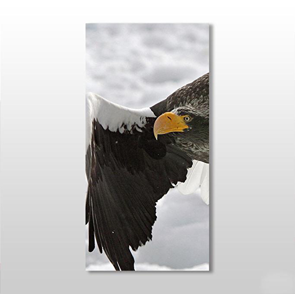 Technopa Kanvas Tablo