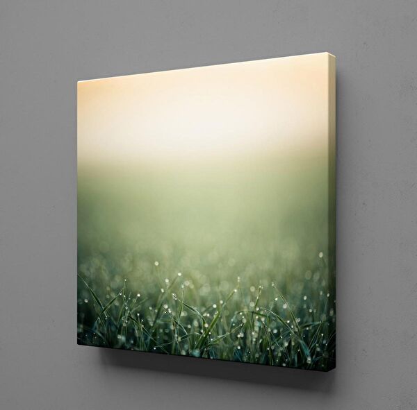 Technopa Kanvas Tablo