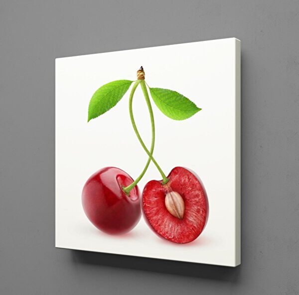 Technopa Kanvas Tablo