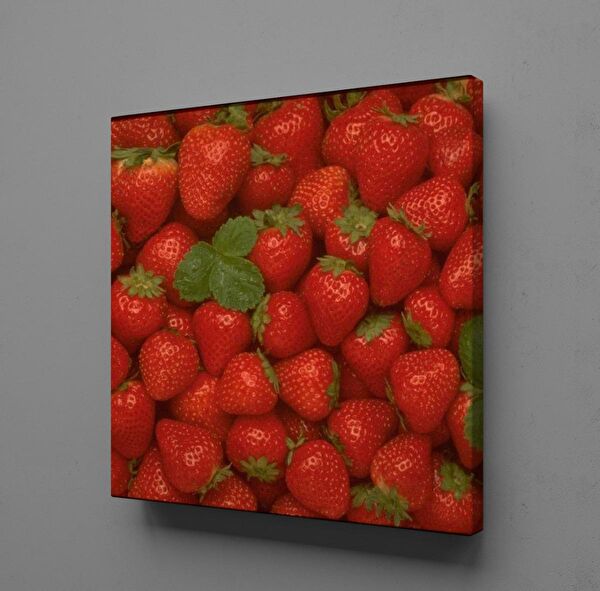 Technopa Kanvas Tablo