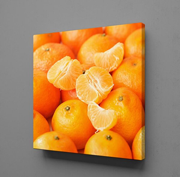 Technopa Kanvas Tablo