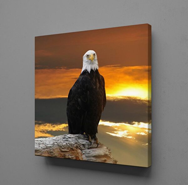 Technopa Kanvas Tablo