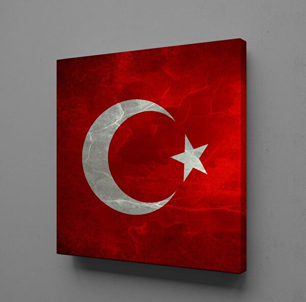 Technopa Kanvas Tablo