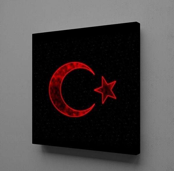 Technopa Kanvas Tablo