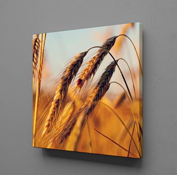 Technopa Kanvas Tablo