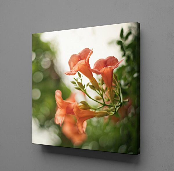 Technopa Kanvas Tablo