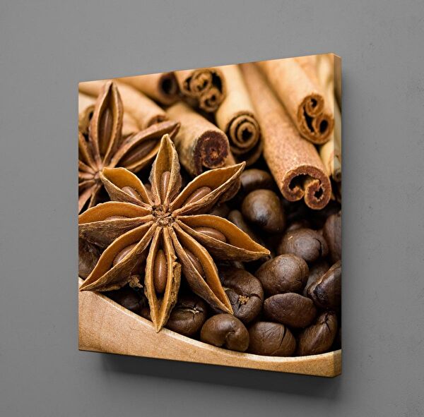 Technopa Kanvas Tablo