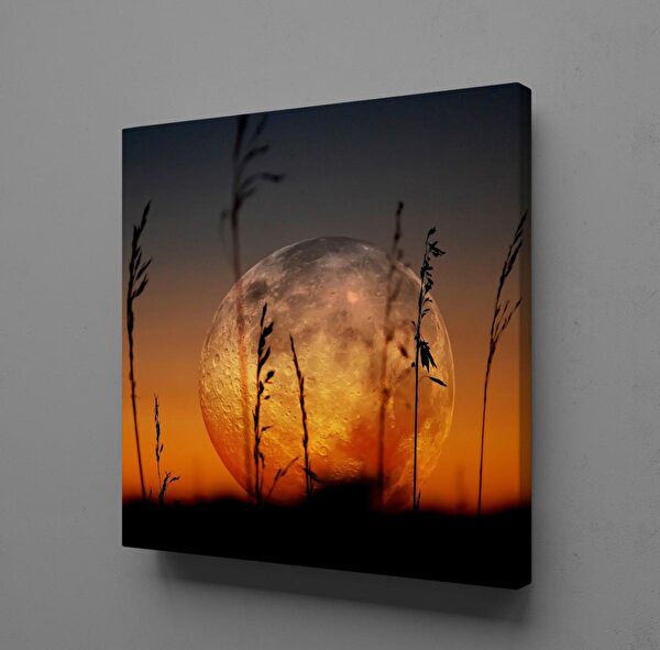 Technopa Kanvas Tablo