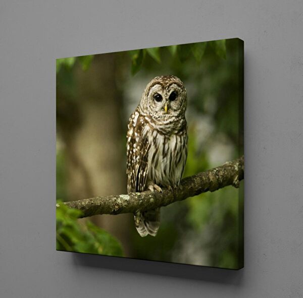 Technopa Kanvas Tablo