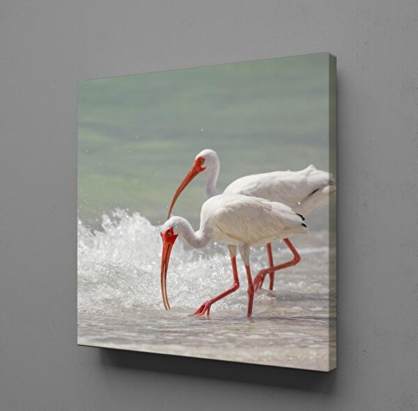 Technopa Kanvas Tablo