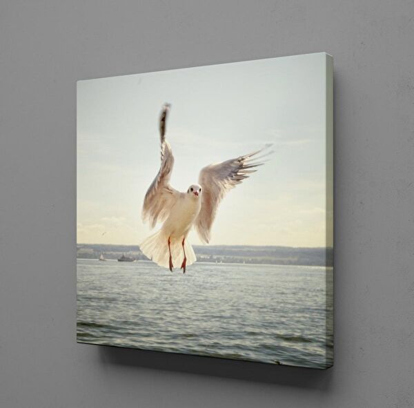 Technopa Kanvas Tablo