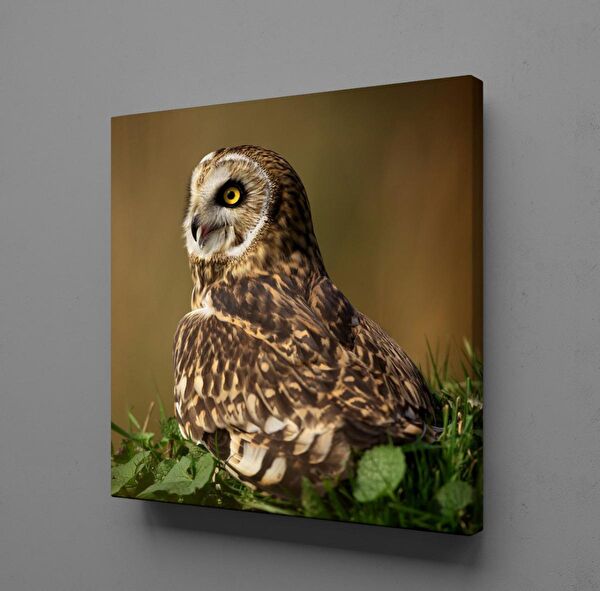 Technopa Kanvas Tablo