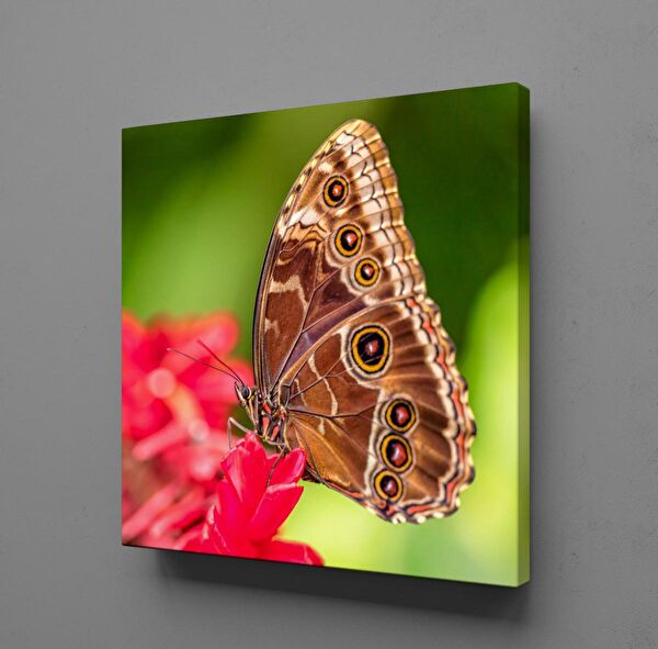 Technopa Kanvas Tablo