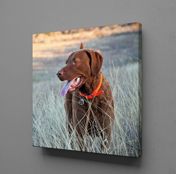 Technopa Kanvas Tablo