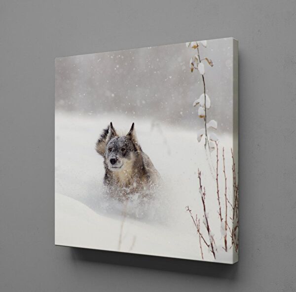 Technopa Kanvas Tablo