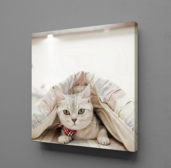 Technopa Kanvas Tablo