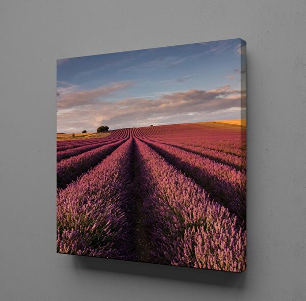 Technopa Kanvas Tablo