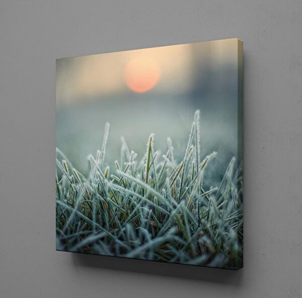 Technopa Kanvas Tablo