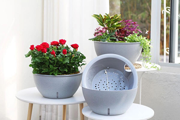 Saksıdan Sofraya Saksı