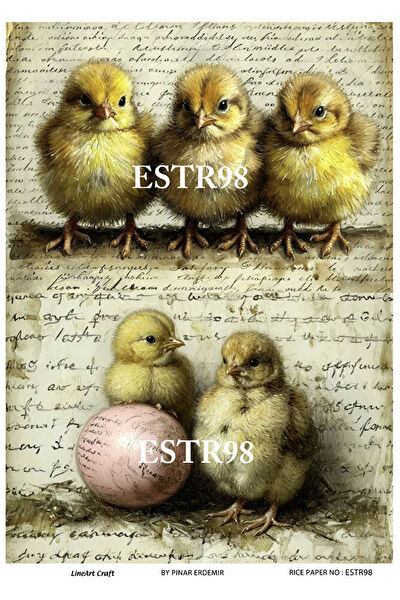 LineArt Yardımcı Sanat Ürünleri