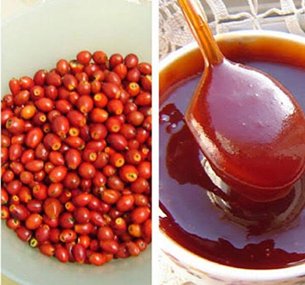 Erzurum Kadın Kooperatifi Organik Bal, Pekmez, Reçel