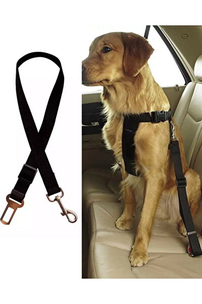 Baffhome Köpek Tasmaları