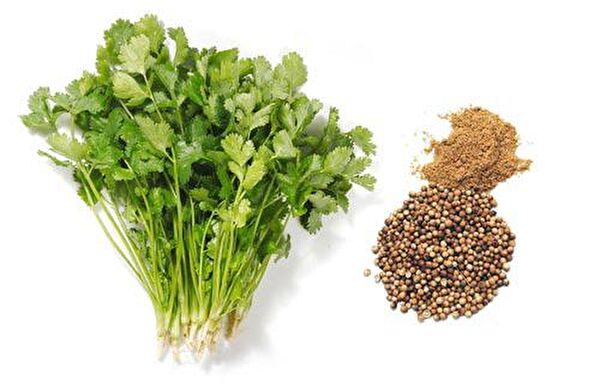 Karahasanoğlu Tarım Tohum