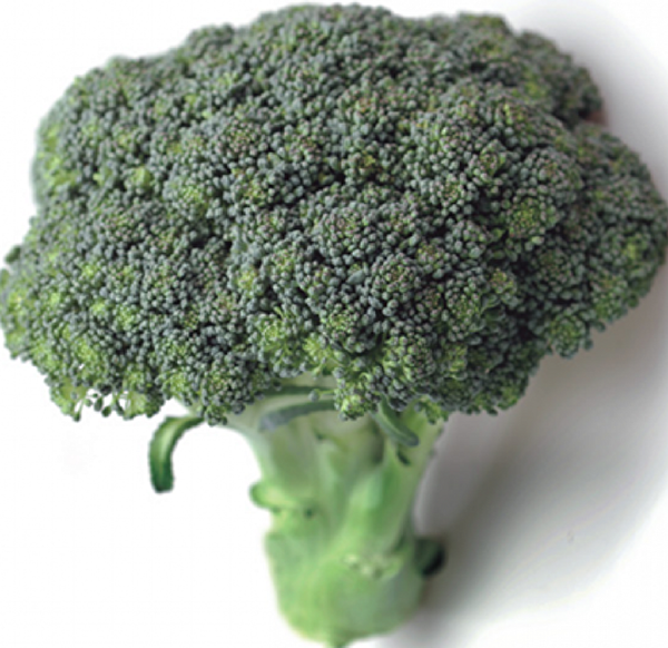 Karahasanoğlu Tarım Tohum