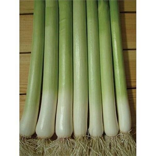 Karahasanoğlu Tarım Tohum