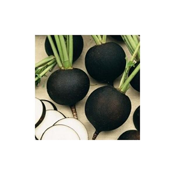 Karahasanoğlu Tarım Tohum