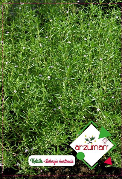 Karahasanoğlu Tarım Tohum